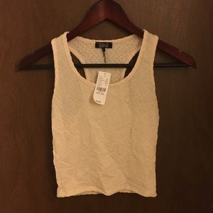 Y2K Nollie Stretch Crop Top